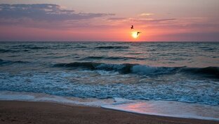 Отдых на море 17.08.2023г Азовское море г Приморск часть 6