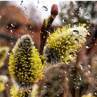 Самоисследование. 