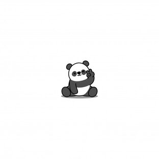 Ответы на все вопросы 🐼