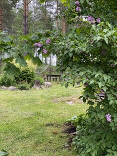 Мой сад: метаморфозы круглый год 