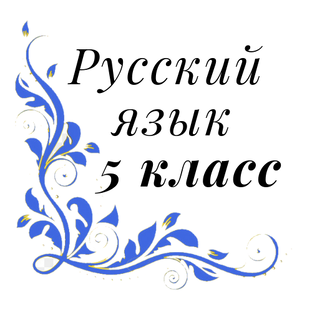 5 класс