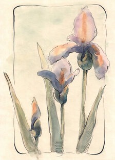 Размышления