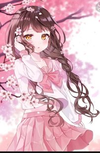 Шаурмая мяу мяу 