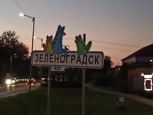 #Кудрявое_путешествие