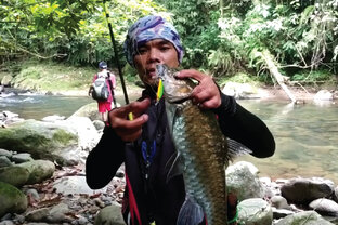 Рыбы Юго-Восточной Азии и Океании