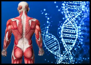 Наука спорту!