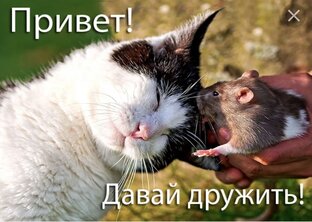 Взаимная подписка) 