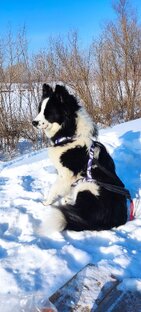 Зимняя сказка