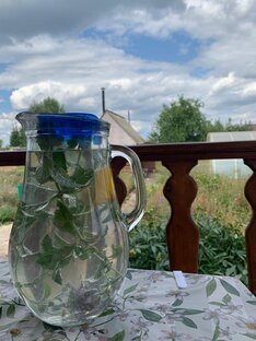 Дача, которую никто не хотел