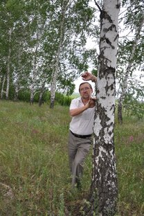 ЛЮБОВЬ НА КОНЧИКЕ ПЕРА (СТИХИ)
