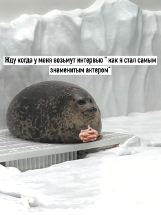 Это я каждый день😂