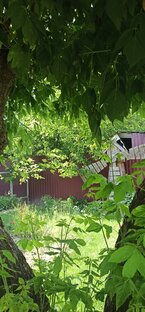 Природа и мы....