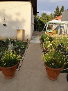 Мой дом - моя крепость. 