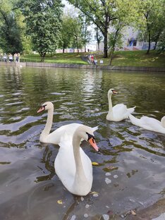 Мои видео (лучшее)