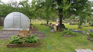 Интересное за одну минуту