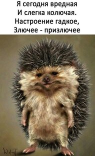 Немного юмора 