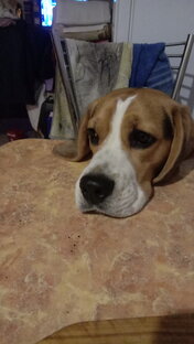 Кибервойска и Информационная война. 