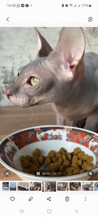 Про питание 