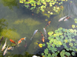 О влиянии атмосферы создаваемой каждым человеком