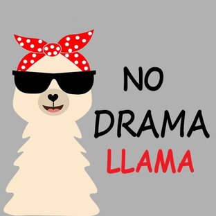 No Drama LLama