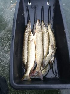 Закрытие 2022 года