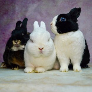 А ты знал об этом ?