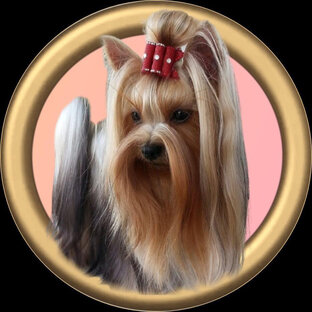 Мастер классы. 