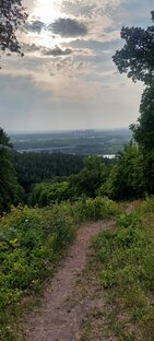 Всякая всячина