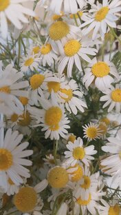 Повседневность