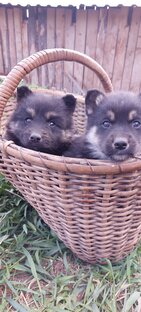 Пятеро парней из глубинки Пермского края, деревня Утес