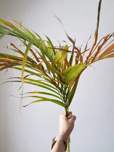 Отчеты по ГбП