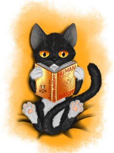 Истории котов