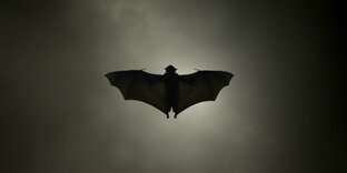 Марафон: книги о вампирах