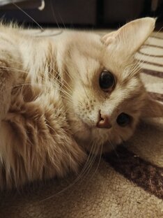 В МИРЕ ПРИРОДЫ. 