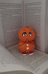Книжная полка