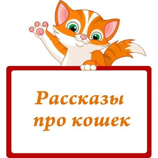 Рассказы про кошек