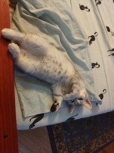 Йонко