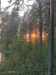 Гуляем с кубиком