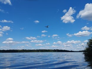 Купавна