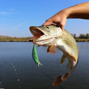 Секреты спиннинга