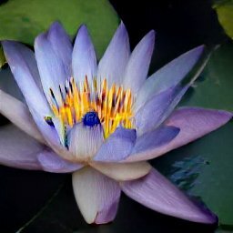 Интимная гимнастика