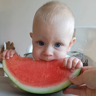 Прикорм 10 месяцев 