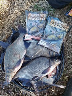 Донка/Фидер