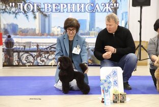 22.01.2023г. г.Екатеринбург, клуб "Хантер" Монопородная выставка Пудель         