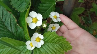 Разное