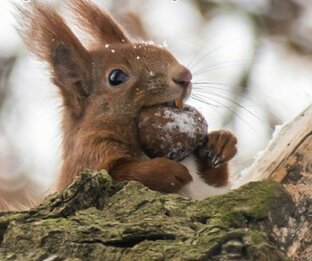 Что даёт изучение иностранного языка?