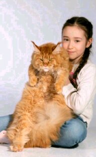Фотография с фотосессии 🐱❤️🐱