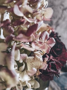 Подборки моих фотографий