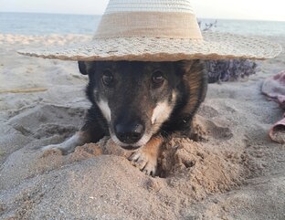 Счастливая пятница 