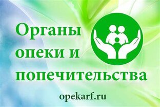 Если к вам пожаловали органы опеки...